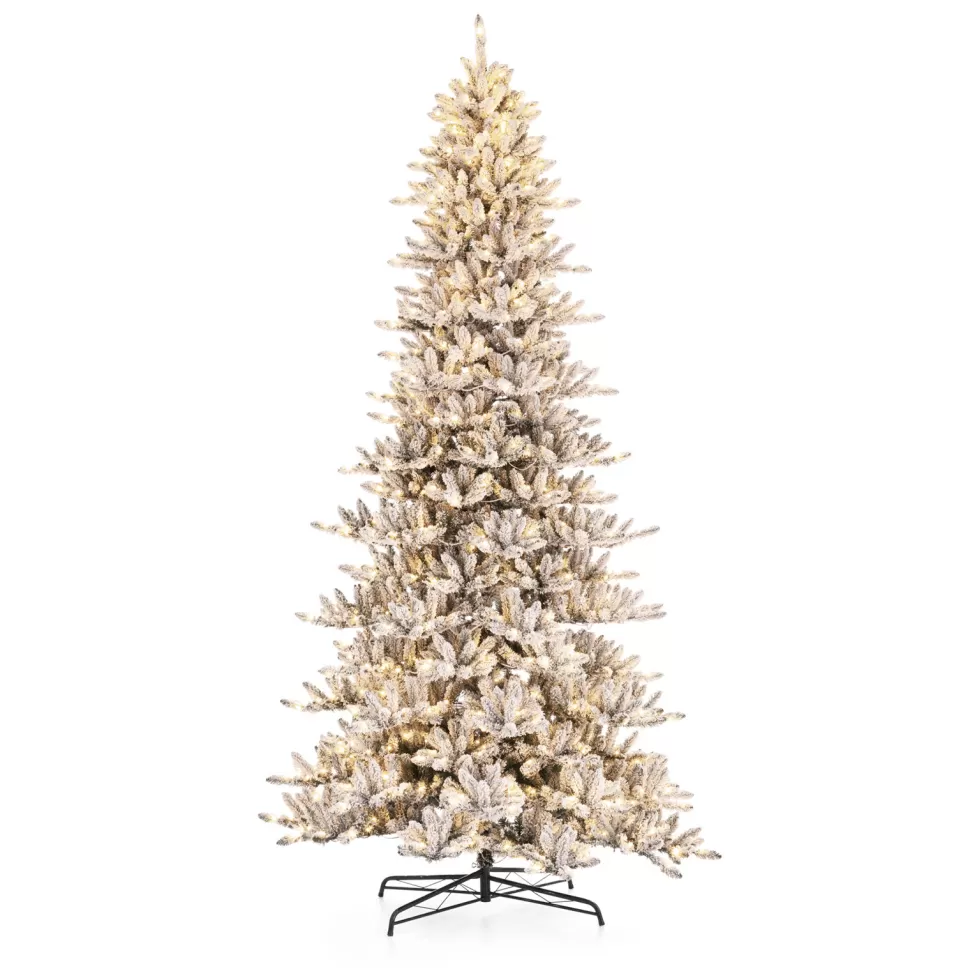 Fashion The Holiday Aisle 11' H Slender Black Pine Christmas Tree With 950 Led Lights