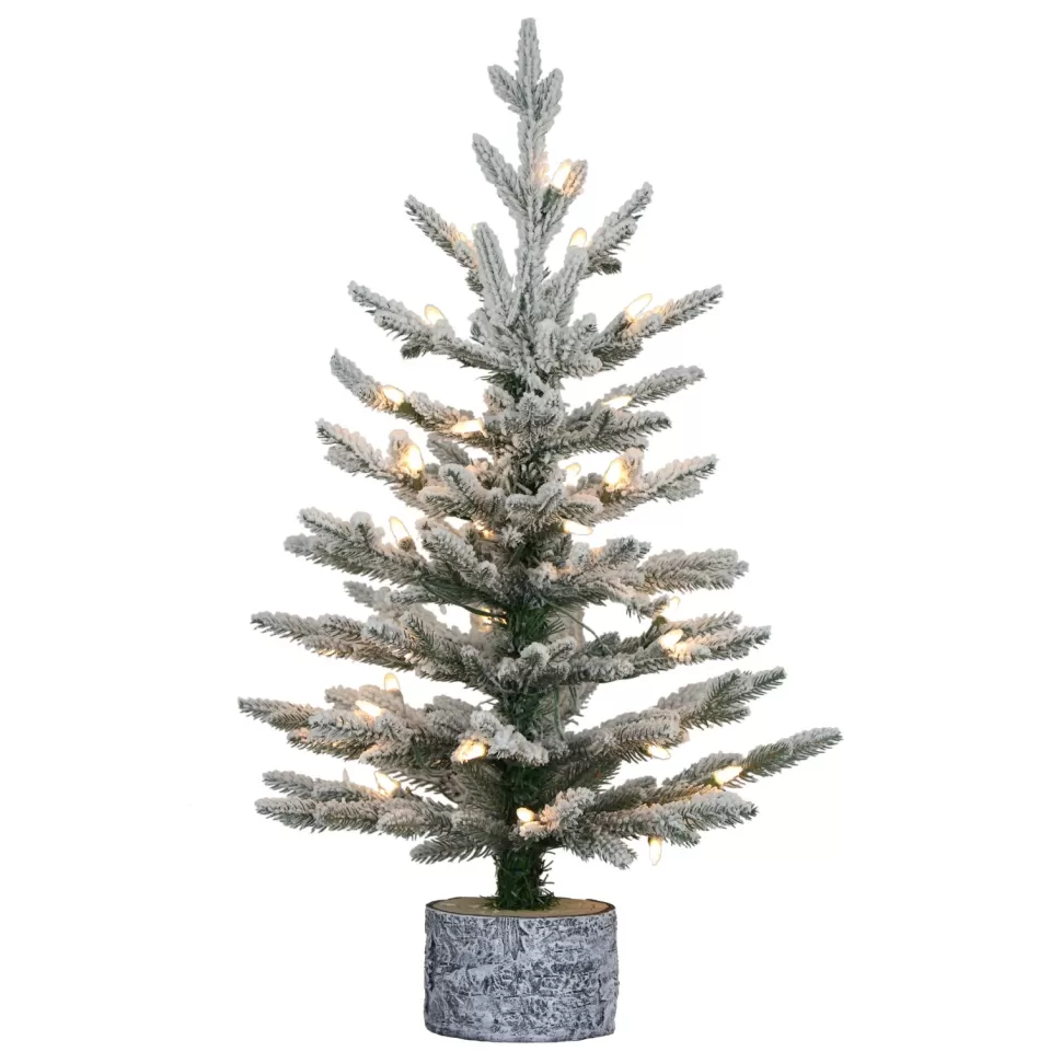 Cheap The Holiday Aisle 2' H Green Most Realistic Artificial Pine Frosted Christmas Tree With 30 Lights