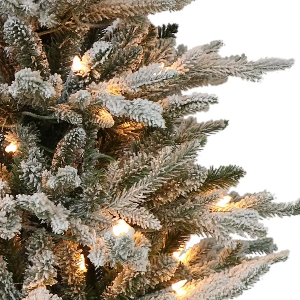 Cheap The Holiday Aisle 2' H Green Most Realistic Artificial Pine Frosted Christmas Tree With 30 Lights