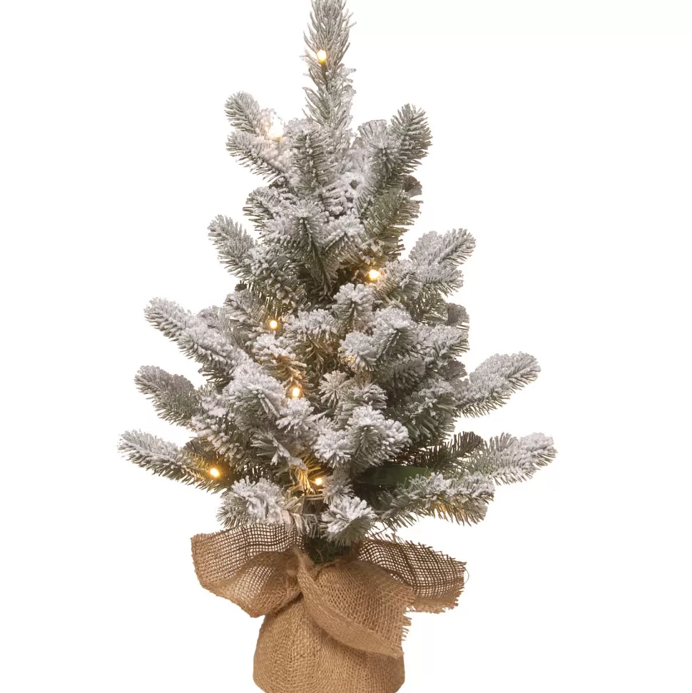 Outlet The Holiday Aisle 2' H Spruce Flocked/Frosted Christmas Tree With 15 Led Lights
