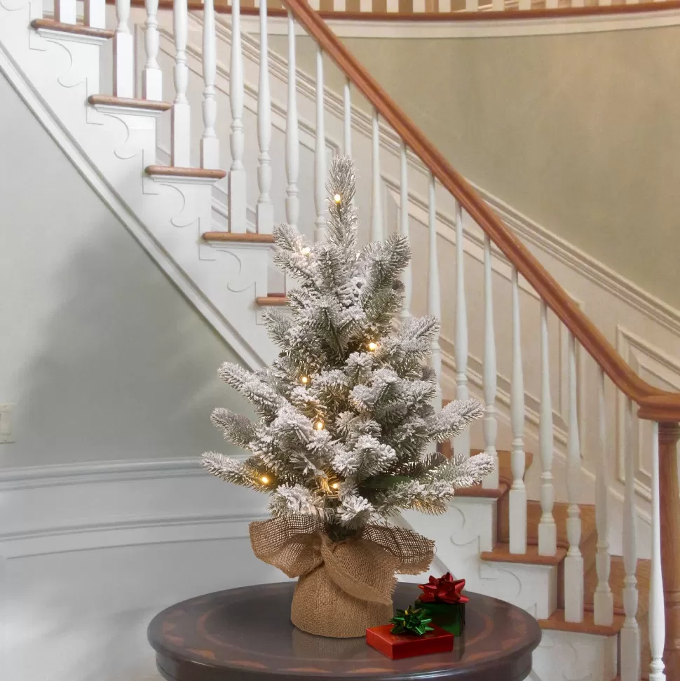 Outlet The Holiday Aisle 2' H Spruce Flocked/Frosted Christmas Tree With 15 Led Lights