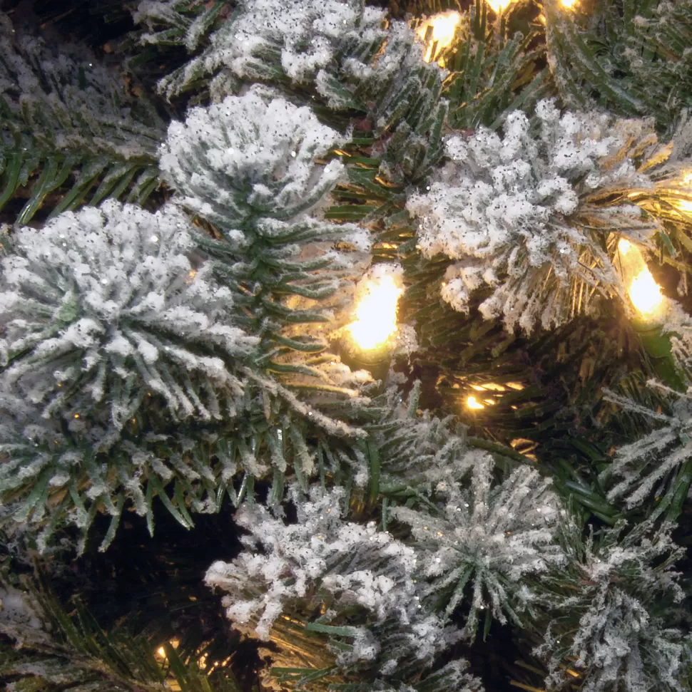 Outlet The Holiday Aisle 2' H Spruce Flocked/Frosted Christmas Tree With 15 Led Lights