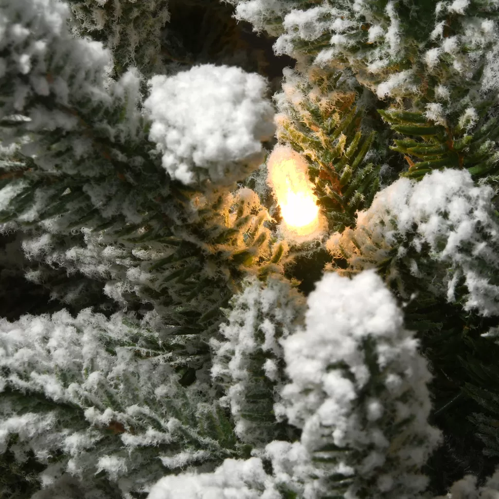 Best The Holiday Aisle 4' Green Fir Artificial Christmas Tree With 100 Clear Lights