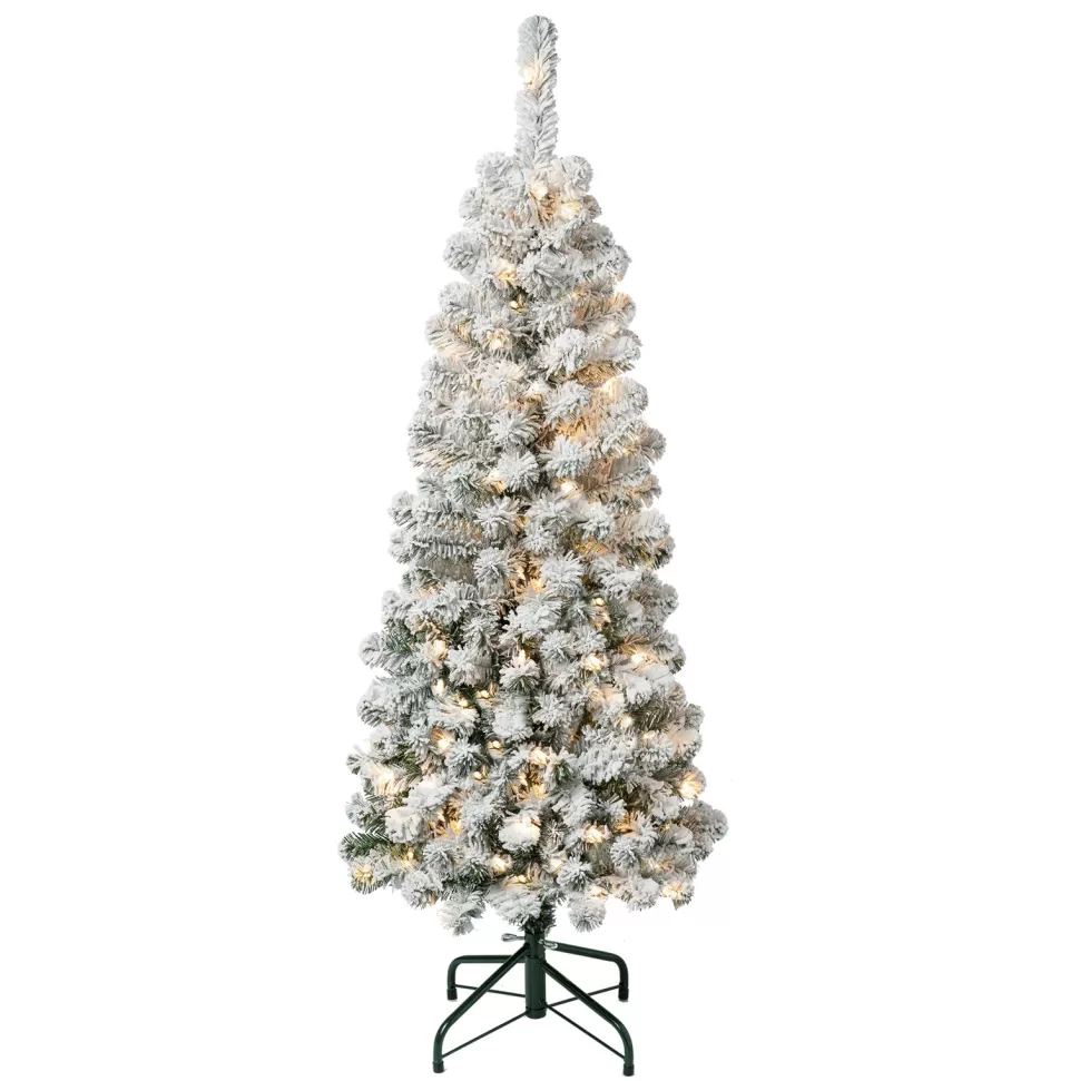 Best The Holiday Aisle 5'11'' H Slender Green Pine Flocked/Frosted Christmas Tree With 250 Lights