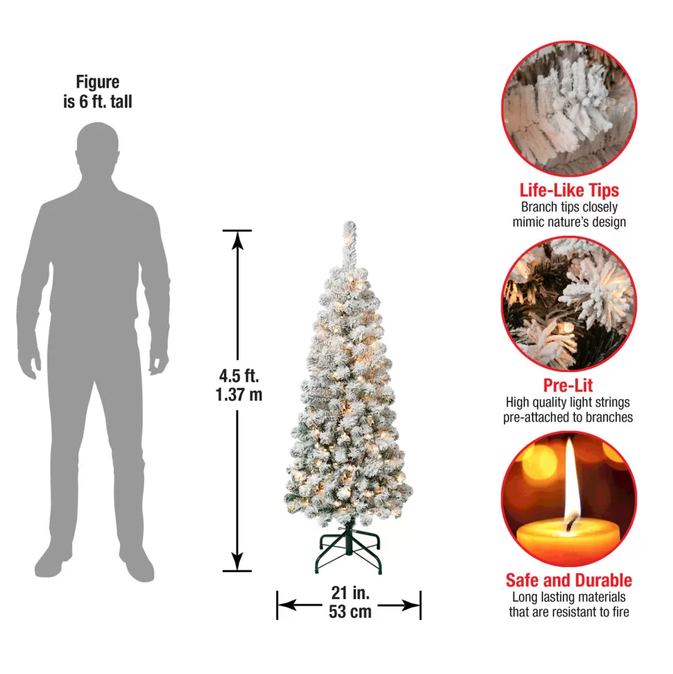 Best The Holiday Aisle 5'11'' H Slender Green Pine Flocked/Frosted Christmas Tree With 250 Lights