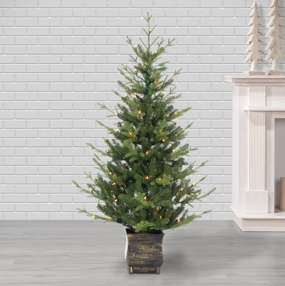 New The Holiday Aisle 5' H Green Realistic Artificial Pine Christmas Tree With 100 Led Lights And Berries