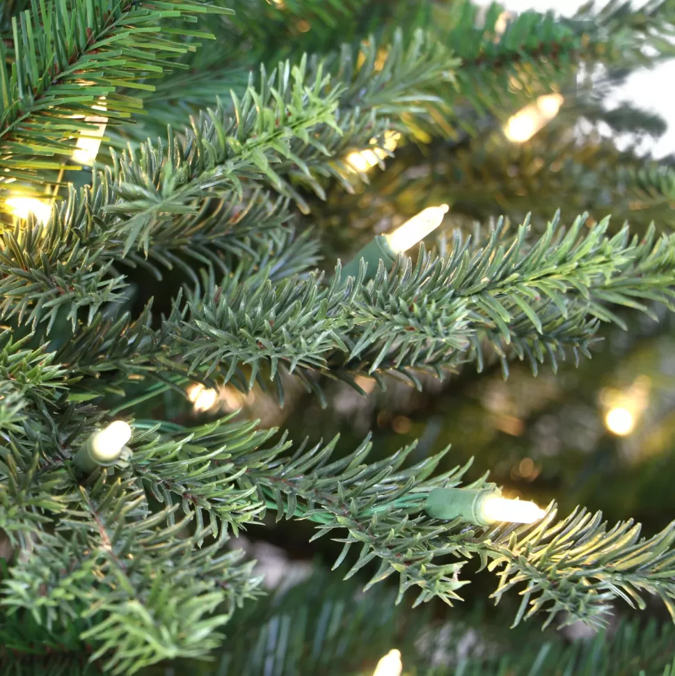 Store The Holiday Aisle 6' 5'' H Slender Green Pine Christmas Tree With 500 Lights
