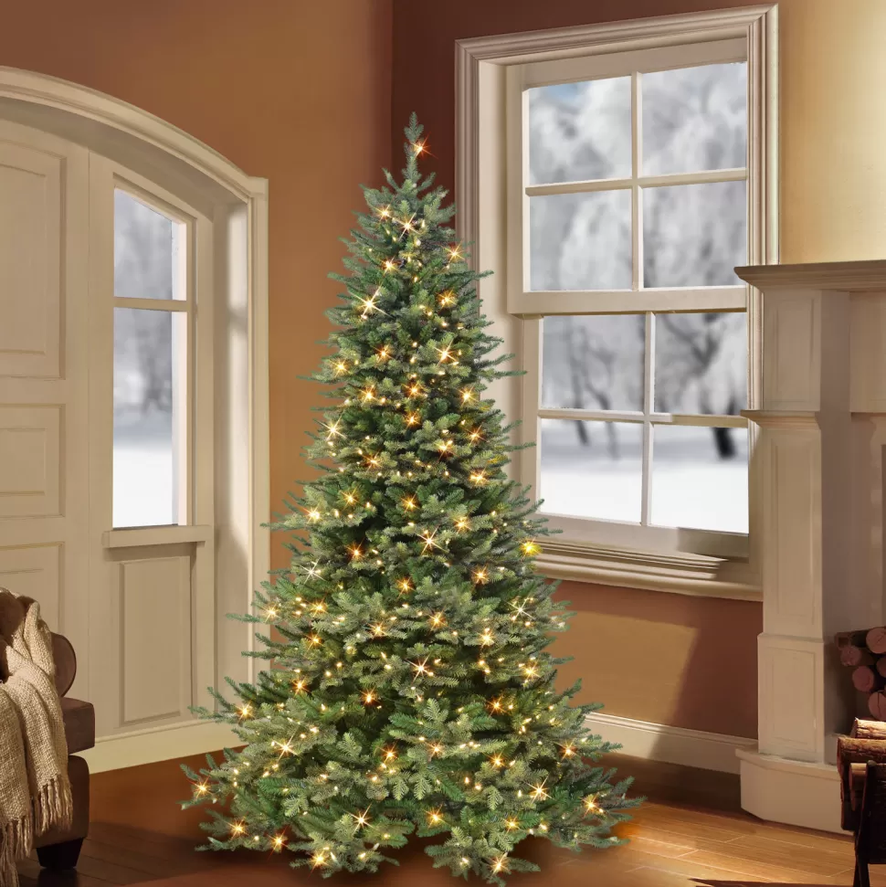 Store The Holiday Aisle 6' 5'' H Slender Green Pine Christmas Tree With 500 Lights