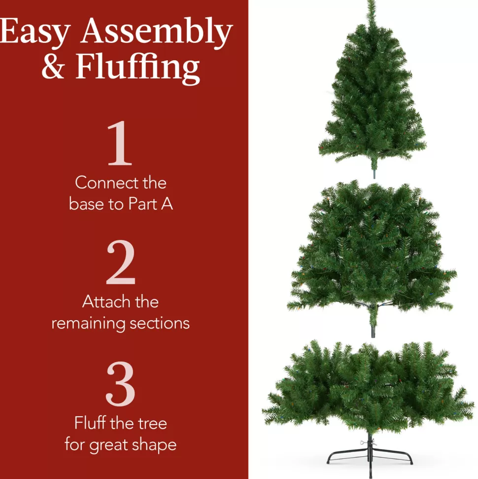 Hot The Holiday Aisle 6' H Green Tree Family Christmas Tree 250 Lights Led