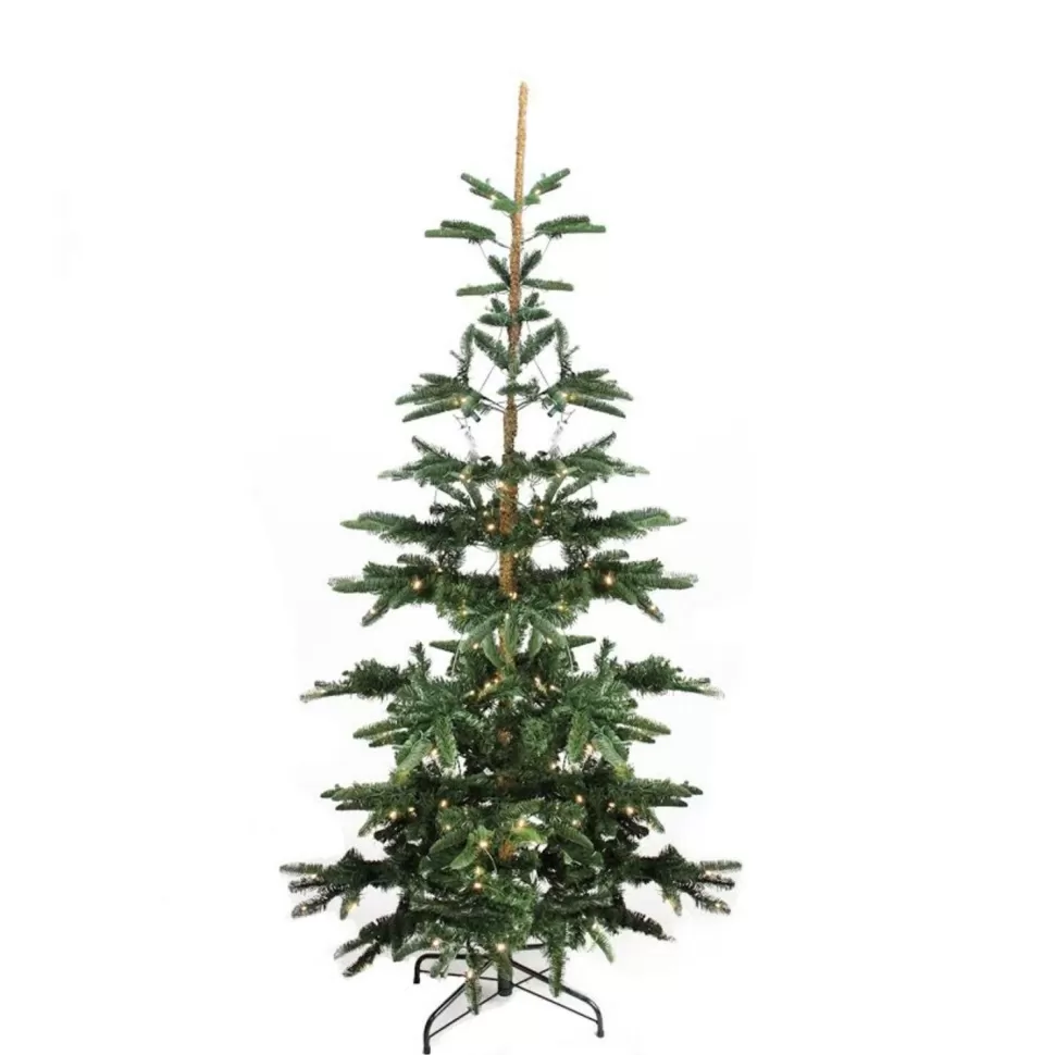 Discount Northlight Seasonal 7.5' Pre-Lit Nordmann Fir Artificial Christmas Tree - Warm Clear Led Lights