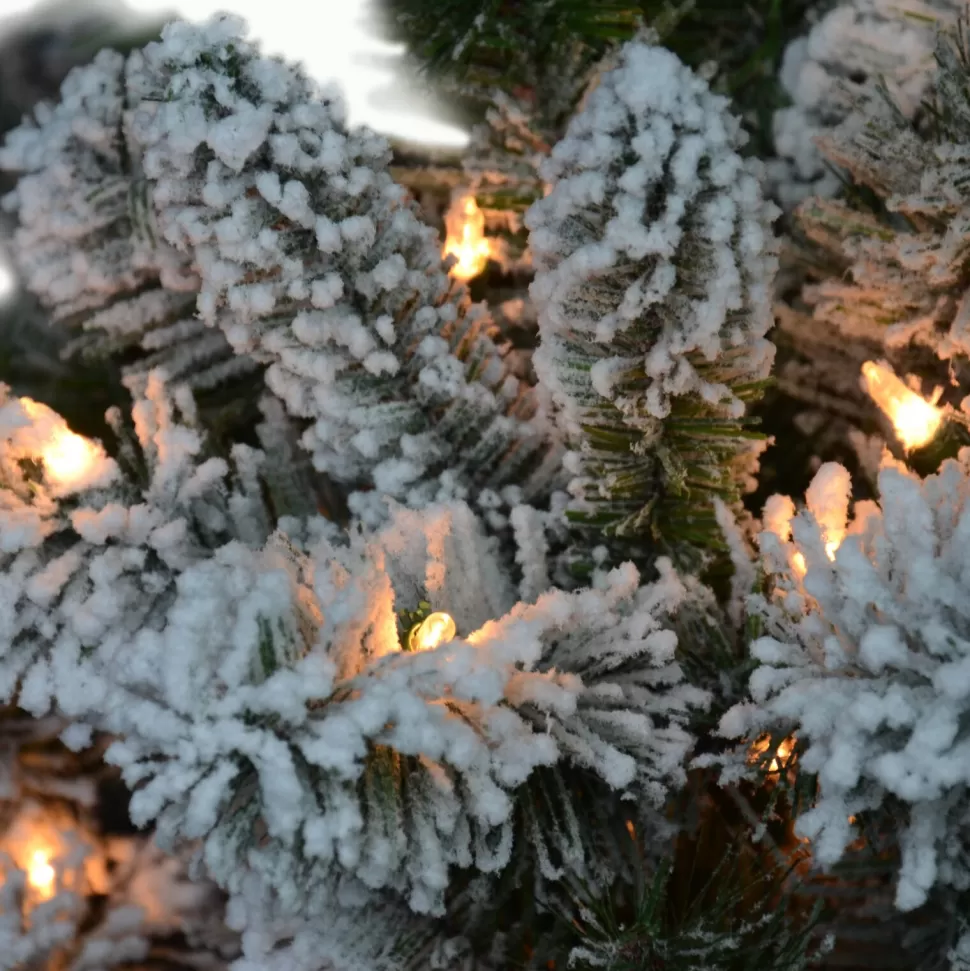 Best Sale The Holiday Aisle 7'6" H Green Pine Frosted Christmas Tree With 500 Lights