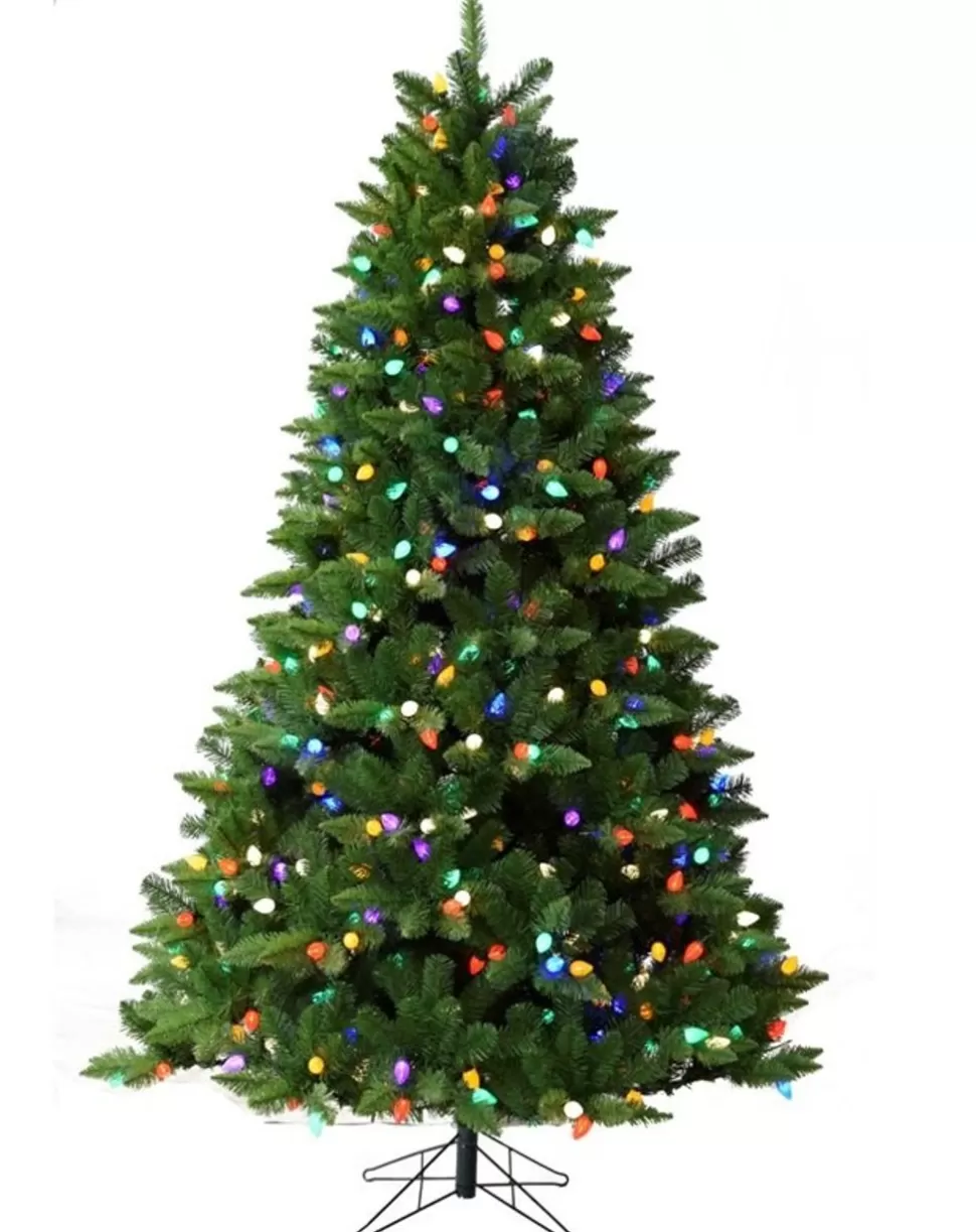 Shop Northlight Seasonal 78" Green Pine Artificial Christmas Tree With 800 Multi-Colored Lights