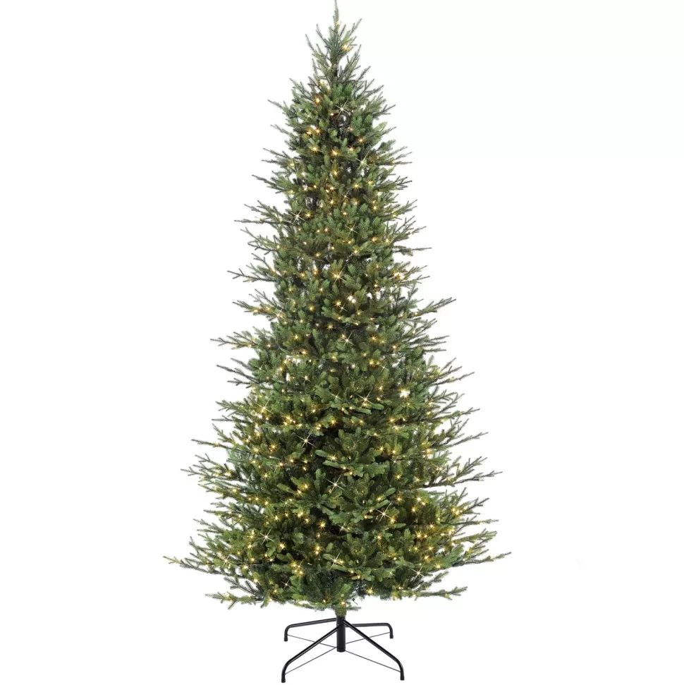Sale The Holiday Aisle 9' Green Fir Trees Christmas Tree With 800 White Light