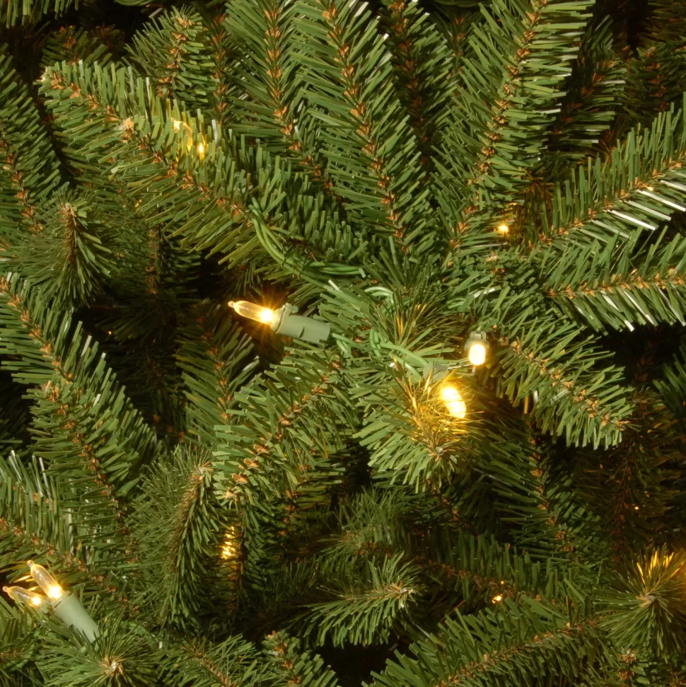 Store Red Barrel Studio Baldrik 6.5' Green Spruce Christmas Tree With 650 Clear/White Lights