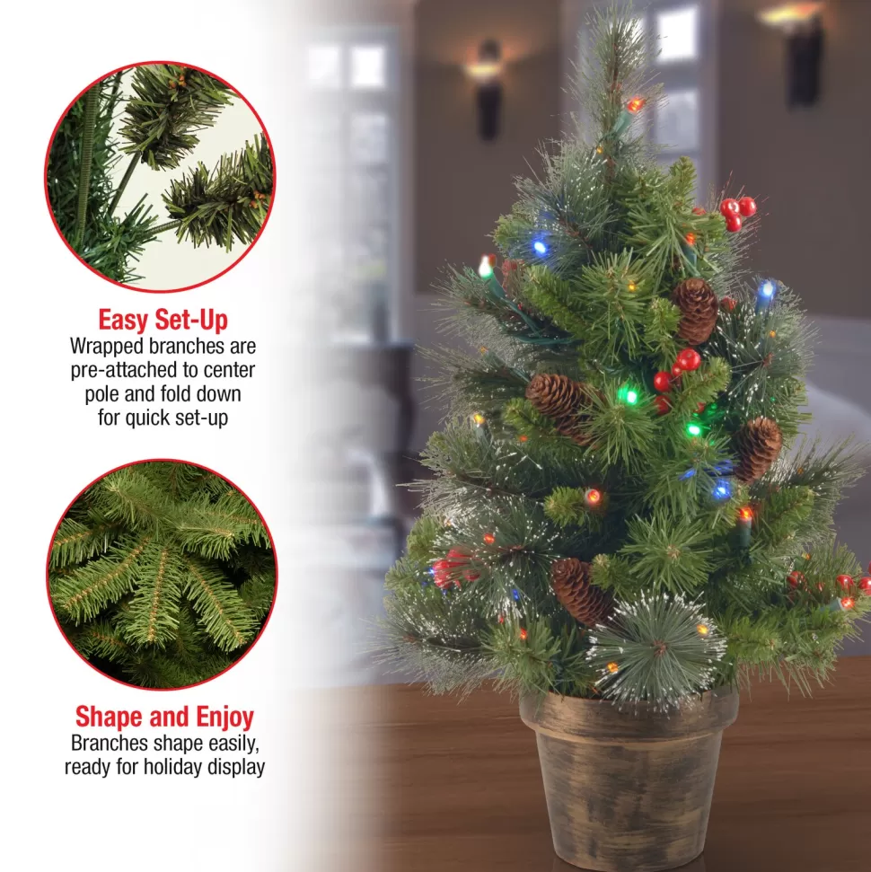Discount Three Posts Crestwood 2' H Green Artificial Spruce Christmas Tree With 35 Multi-Color Lights