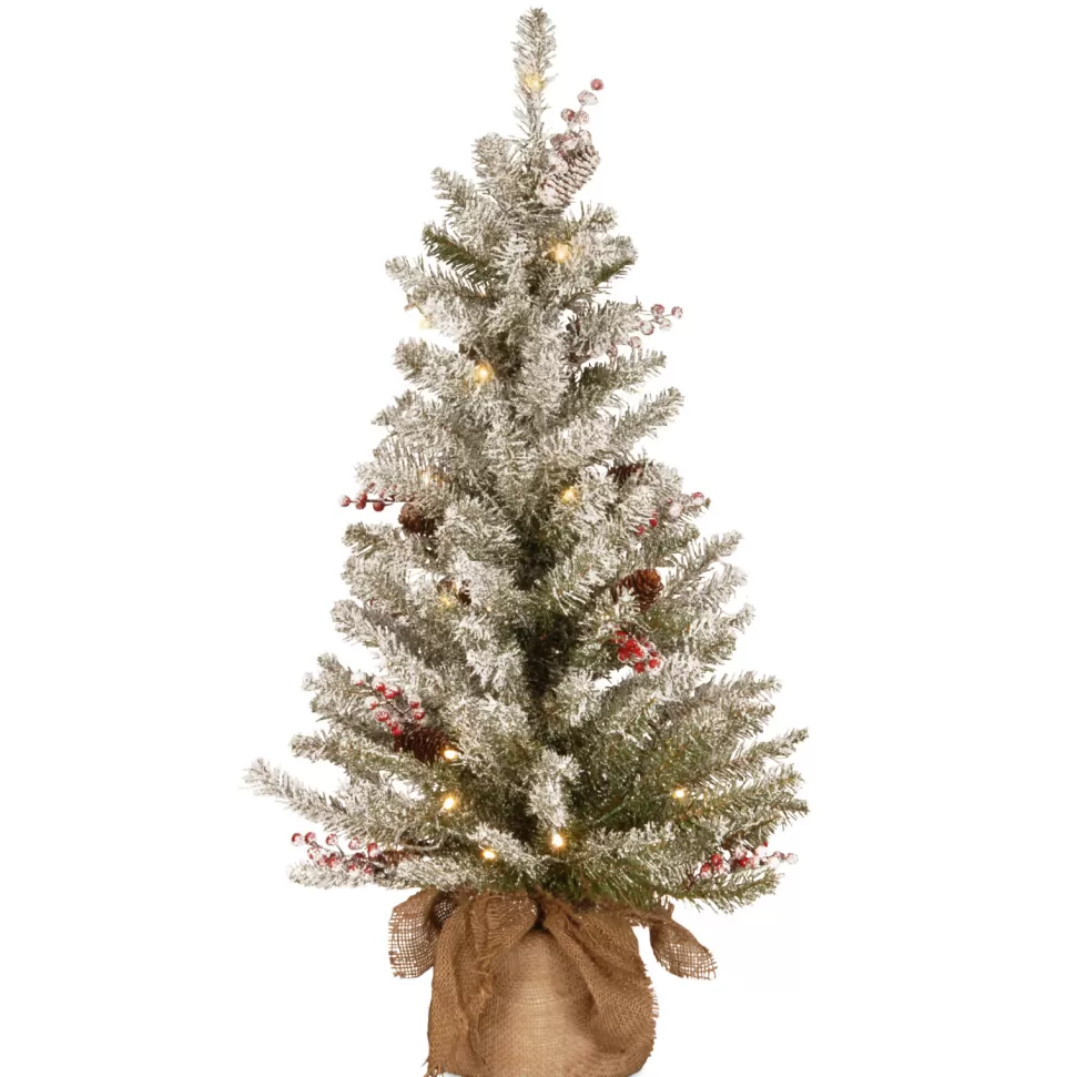 Sale The Holiday Aisle Dunhill Fir 3' Green Artificial Christmas Tree With 35 Clear/White Lights