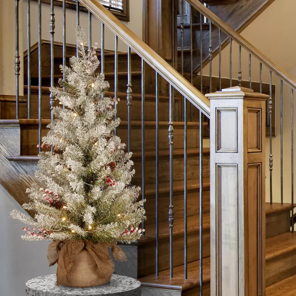 Sale The Holiday Aisle Dunhill Fir 3' Green Artificial Christmas Tree With 35 Clear/White Lights