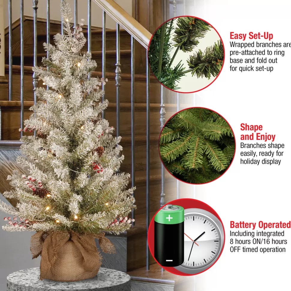 Sale The Holiday Aisle Dunhill Fir 3' Green Artificial Christmas Tree With 35 Clear/White Lights