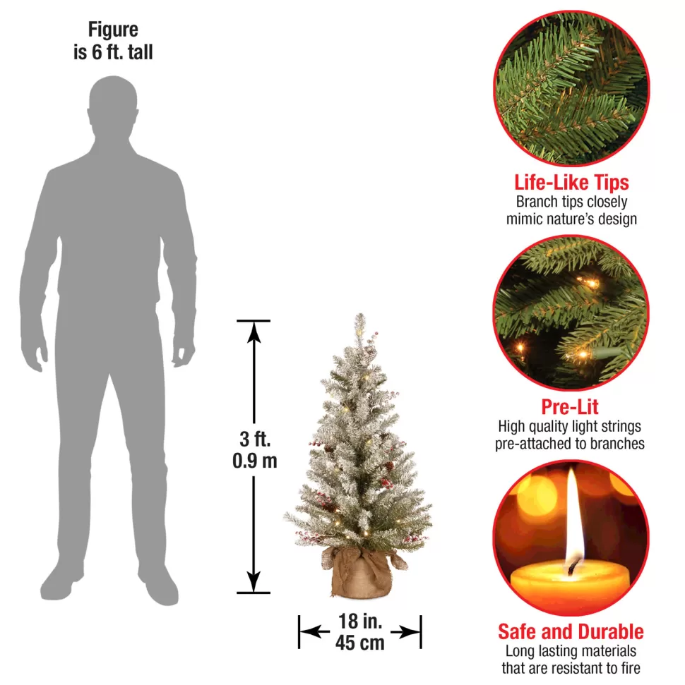 Sale The Holiday Aisle Dunhill Fir 3' Green Artificial Christmas Tree With 35 Clear/White Lights