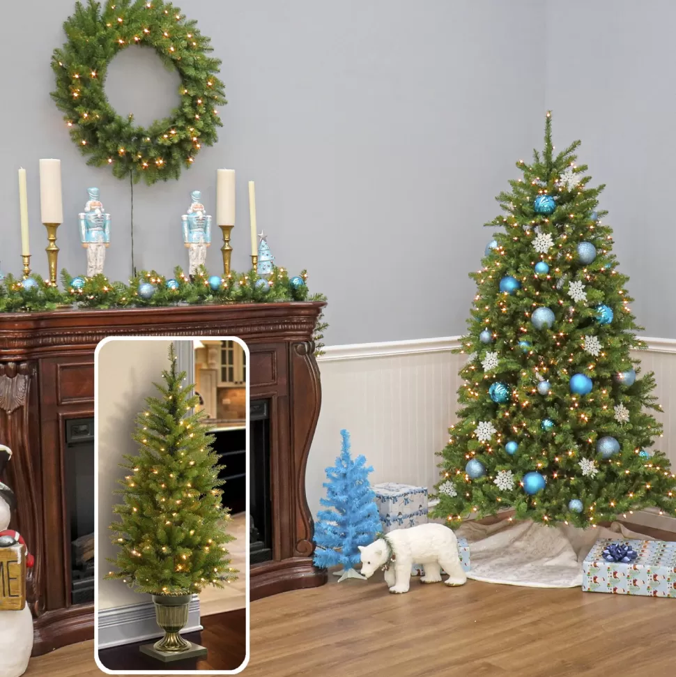 Cheap Charlton Home Dunhill Fir 4' H Green Fir Christmas Tree With 70 Lights