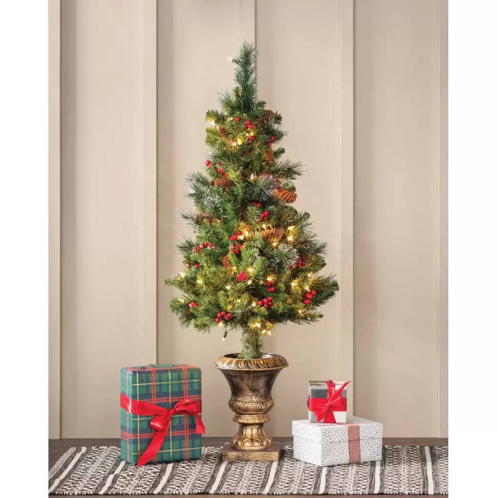 Cheap Charlton Home Dunhill Fir 4' H Green Fir Christmas Tree With 70 Lights