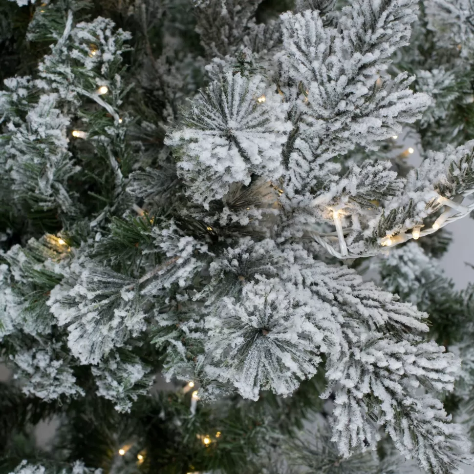 Best The Holiday Aisle Flocked Slim 7.5' Fir Artificial Christmas Tree With 700 Warm White Led Lights