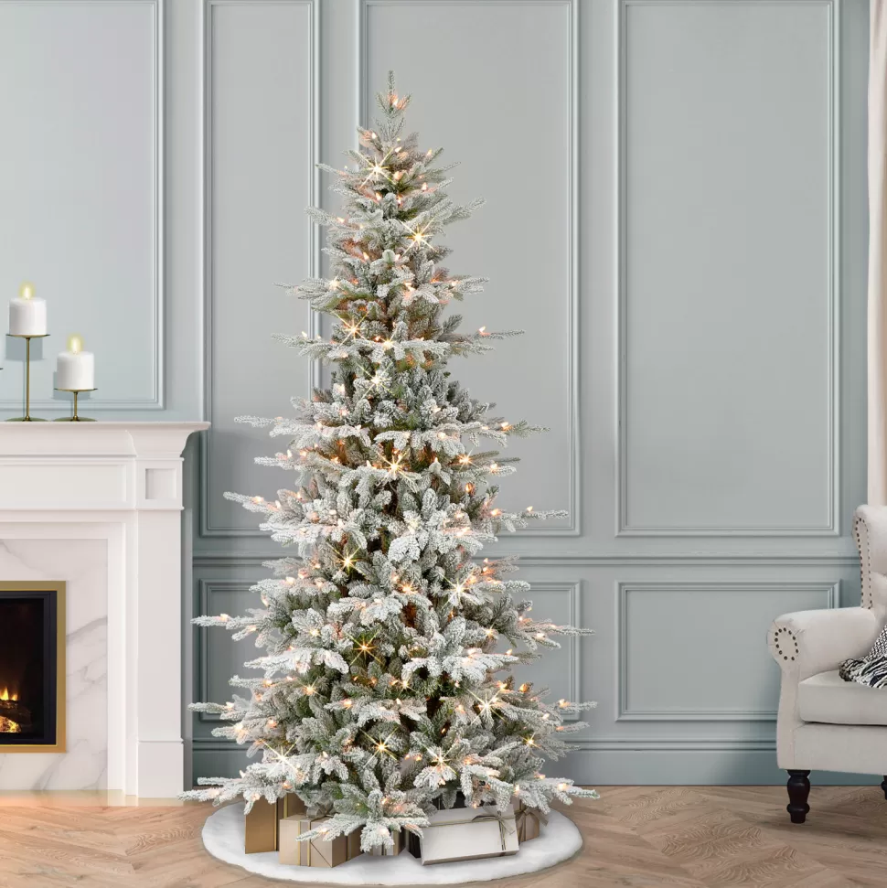 Cheap The Holiday Aisle Giefer 6' 6" H Slender Green Realistic Artificial Fir Christmas Tree With 250 Lights