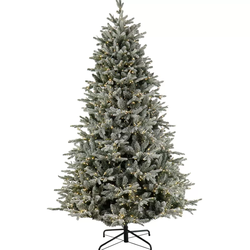 Best Sale The Twillery Co. Green Artificial Fir Flocked/Frosted Christmas Tree With Led Lights