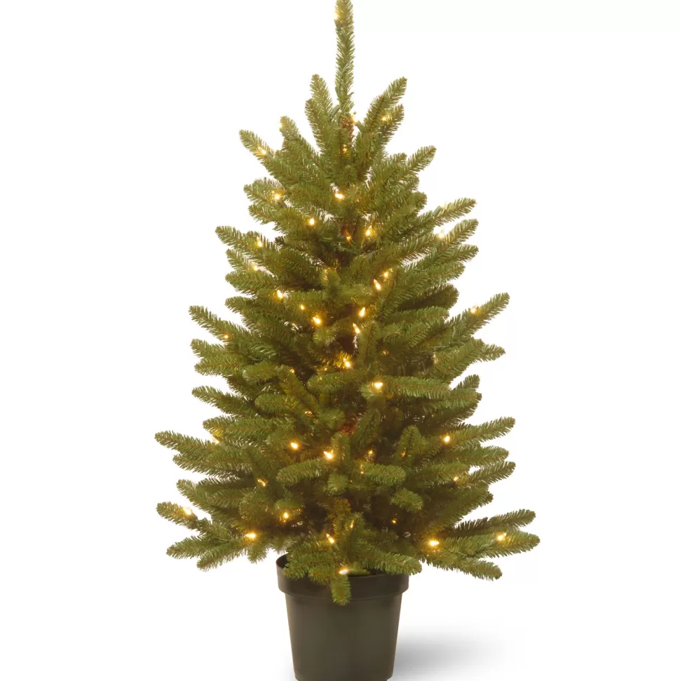 Discount The Holiday Aisle Kensington 4' Green Fir Artificial Christmas Tree With 100 Clear/White Lights