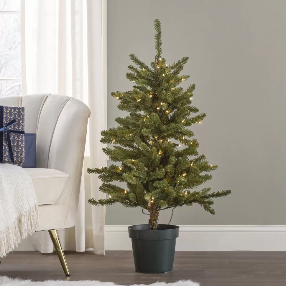Discount The Holiday Aisle Kensington 4' Green Fir Artificial Christmas Tree With 100 Clear/White Lights