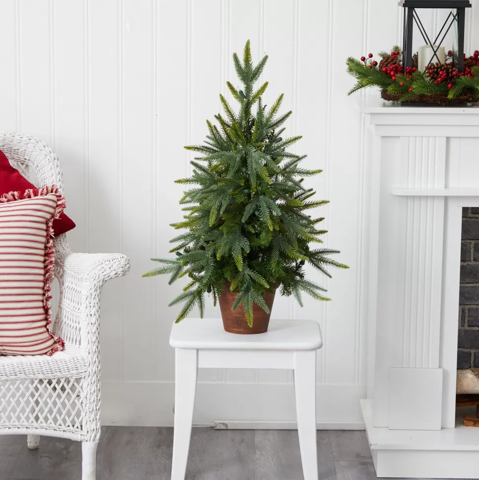 Shop The Holiday Aisle Nearly Natural 2.5' Green Fir Artificial Christmas Tree With 50 Lights & White Lights