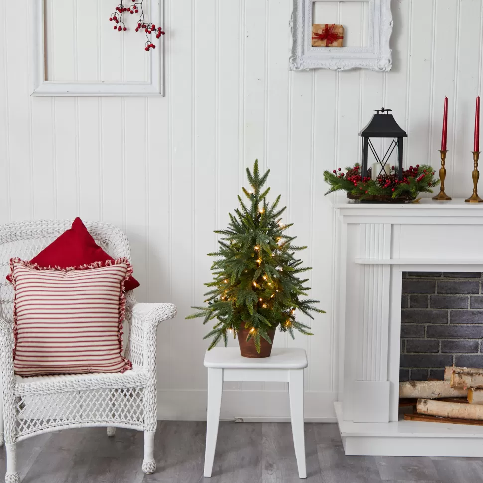 Shop The Holiday Aisle Nearly Natural 2.5' Green Fir Artificial Christmas Tree With 50 Lights & White Lights