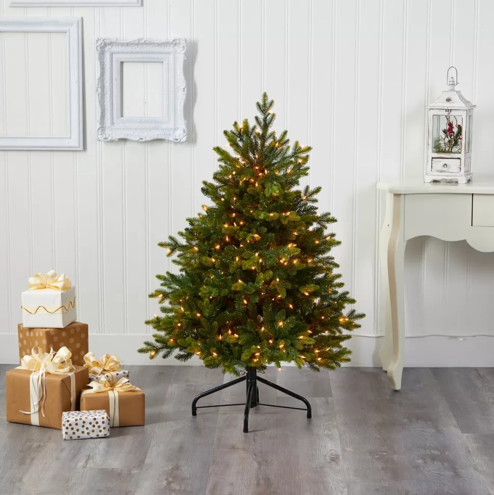 Outlet The Holiday Aisle North Carolina 7' Green Fir Artificial Christmas Tree With 550 Colored And Clear Lights