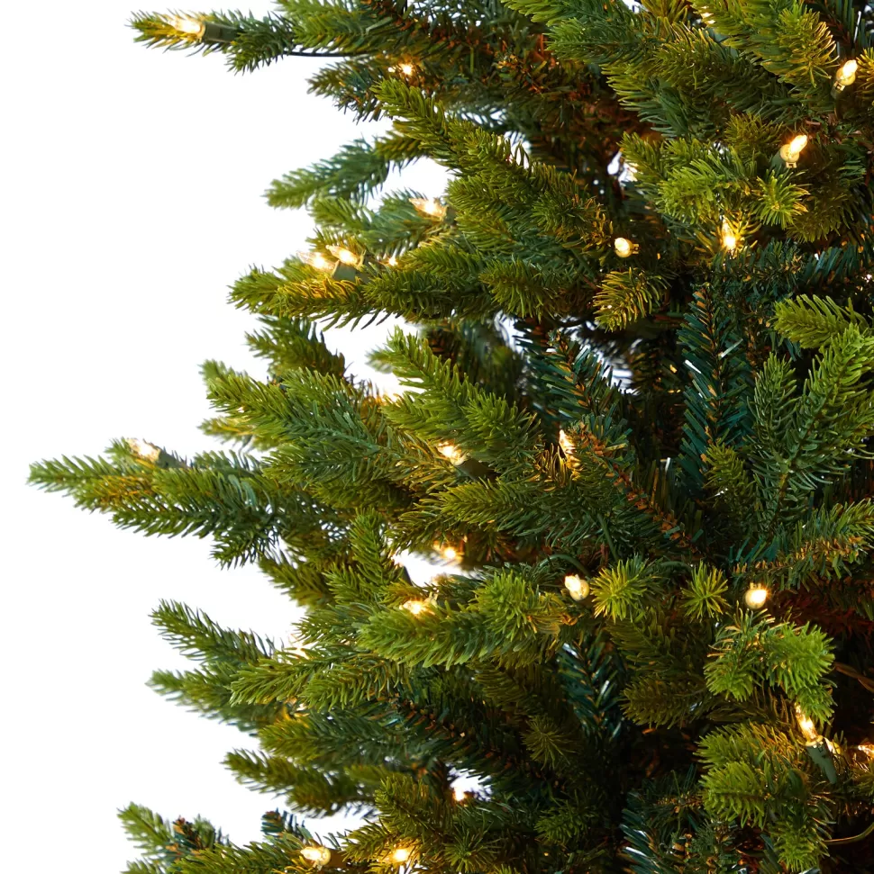 Outlet The Holiday Aisle North Carolina 7' Green Fir Artificial Christmas Tree With 550 Colored And Clear Lights
