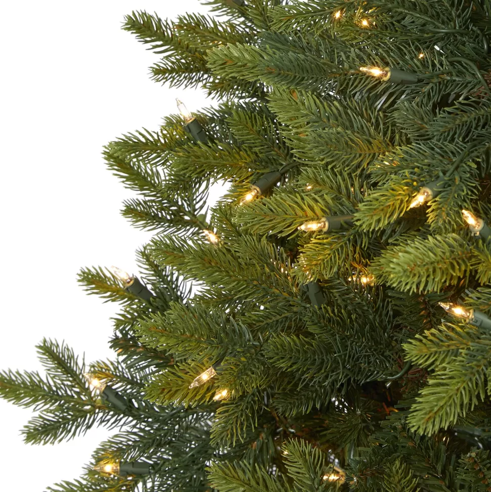 Outlet The Holiday Aisle North Carolina 7' Green Fir Artificial Christmas Tree With 550 Colored And Clear Lights