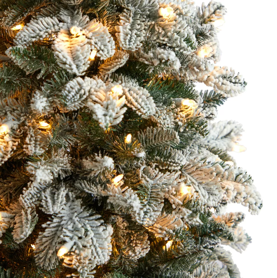 Cheap The Holiday Aisle North Carolina 8' Flocked Fir Artificial Christmas Tree With 650 Clear/White Light