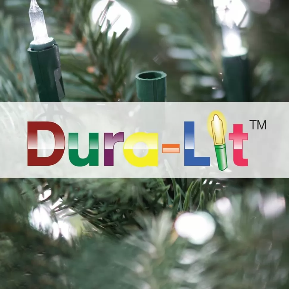 Outlet The Twillery Co. Parkhur 2' Green Pine Artificial Christmas Tree With 50 Clear/White Lights