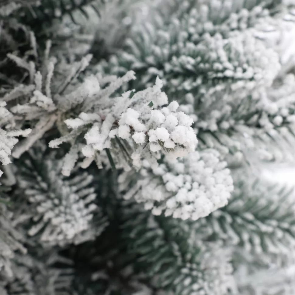Flash Sale The Holiday Aisle Pre-Lit Porch 3' White/Green Realistic Artificial Fir Christmas Tree With 50 Warm White Lights