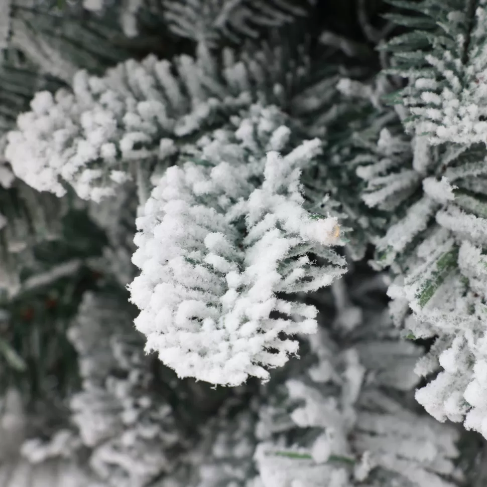 Flash Sale The Holiday Aisle Pre-Lit Porch 3' White/Green Realistic Artificial Fir Christmas Tree With 50 Warm White Lights