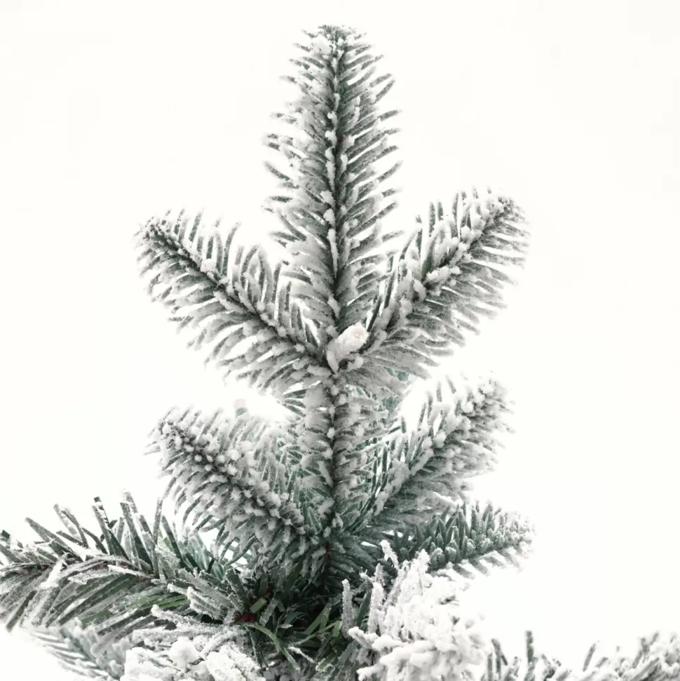 Flash Sale The Holiday Aisle Pre-Lit Porch 3' White/Green Realistic Artificial Fir Christmas Tree With 50 Warm White Lights
