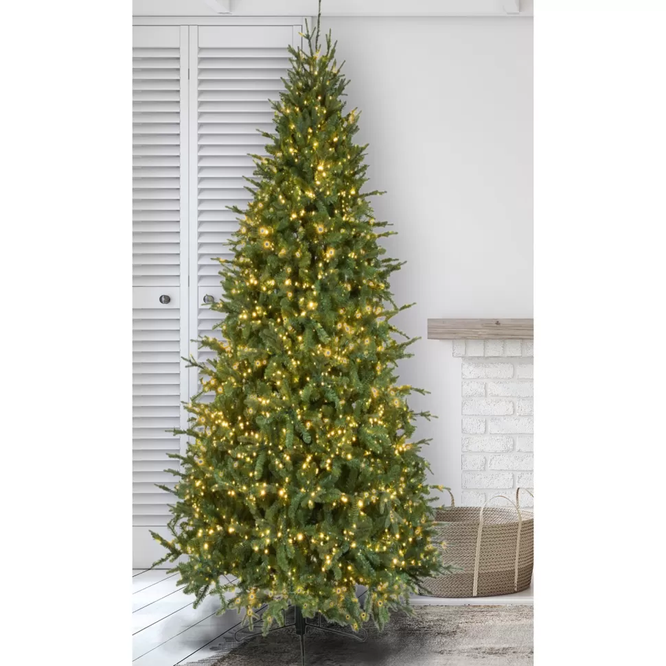 Flash Sale The Holiday Aisle Slim Canadian Balsam Green Artificial Christmas Tree With Clear/White Lights