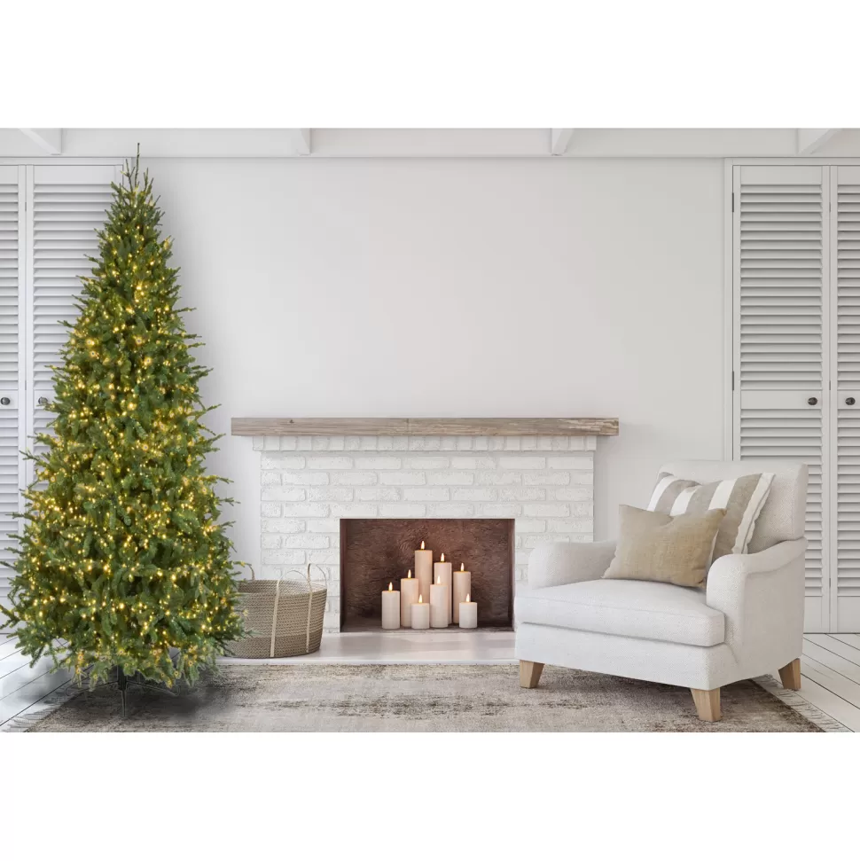 Flash Sale The Holiday Aisle Slim Canadian Balsam Green Artificial Christmas Tree With Clear/White Lights