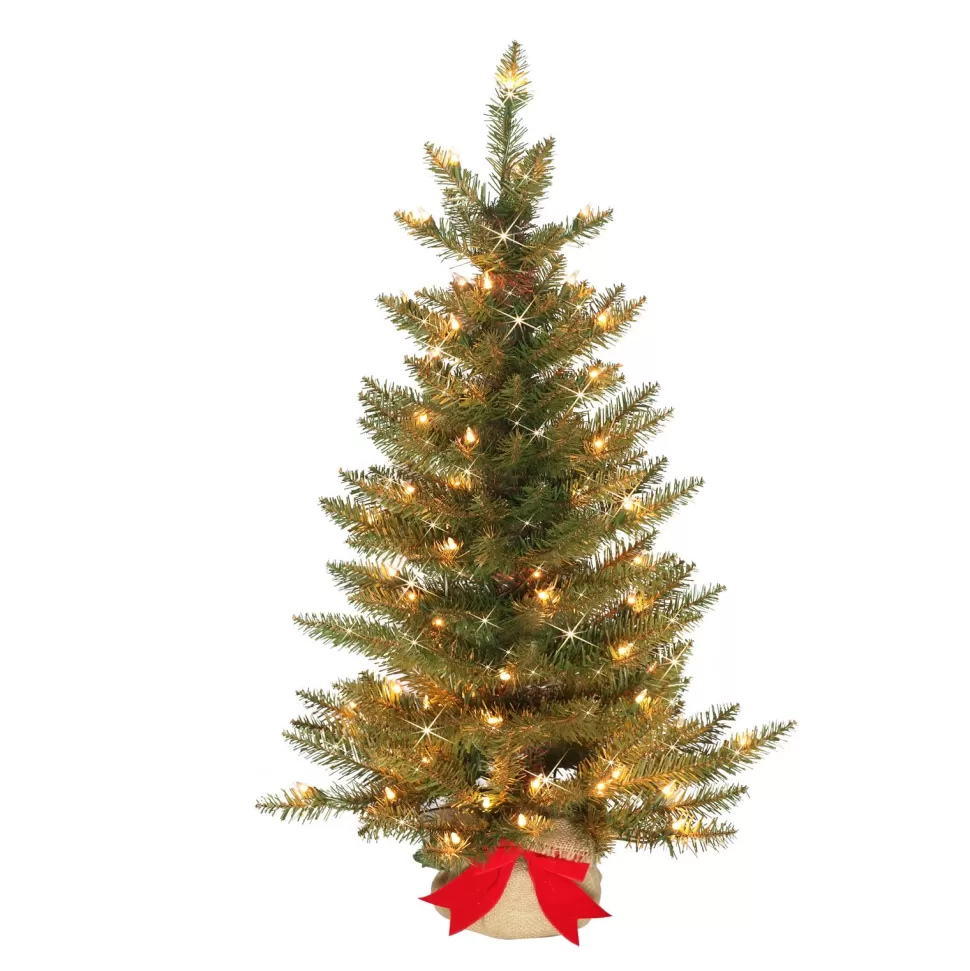 Best The Holiday Aisle Slim Fraser 3' Green Fir Artificial Christmas Tree With 70 Clear/White Lights